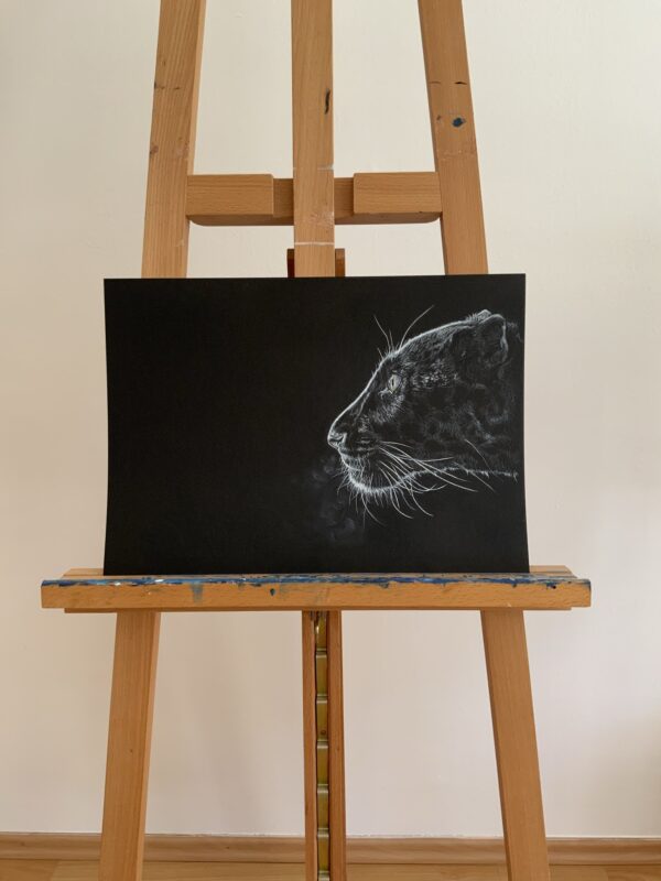 Portrét levharta nakreslený bílou tužkou a křídou na černém papíře.