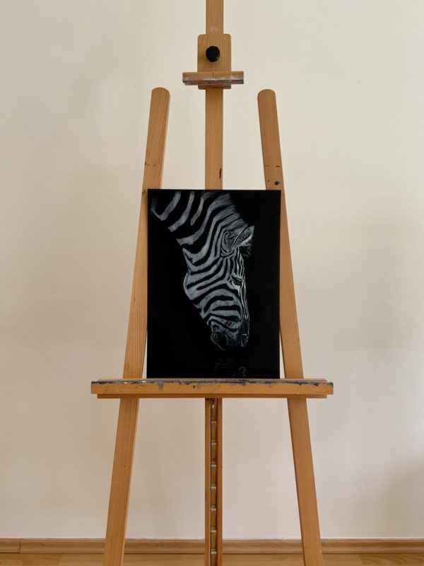 Portrét zebry se skloněnou hlavou. Nakreslené bílou tužkou a křídou na černém papíře.