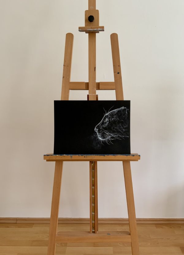 Portrét levharta nakreslený bílou tužkou a křídou na černém papíře.