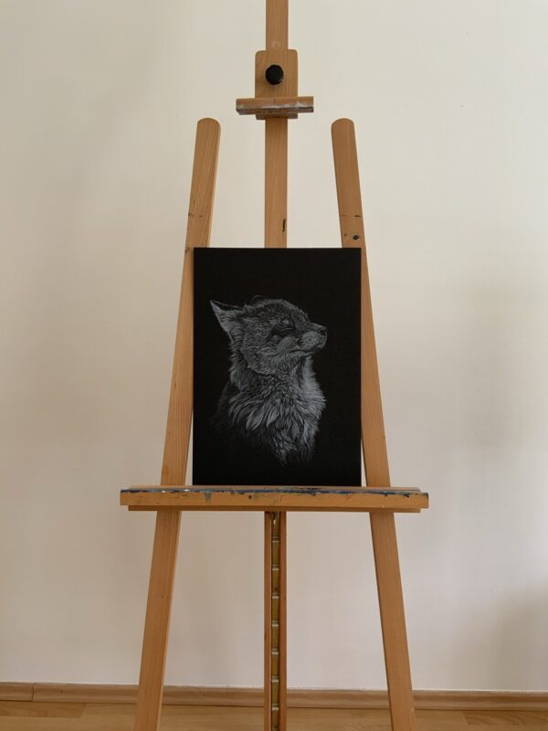 Portrét lišky bílou tužkou a křídou na černém pozadí.