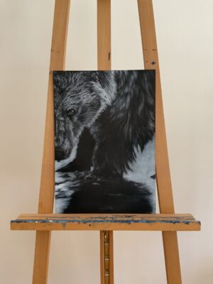 Portrét medvěda nakreslený bílou tužkou a křídou na černém pozadí.